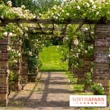 La Roseraie du Parc Lebaudy sur l'Ile de Puteaux