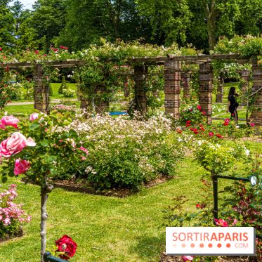La Roseraie du Parc Lebaudy sur l'Ile de Puteaux