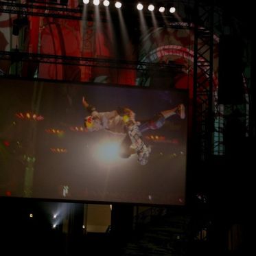 Quiksilver présente le Tony Hawk Show au Grand Palais