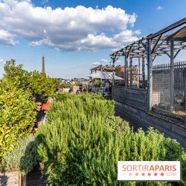La terrasse en Rooftop du Brach, le bar perché dans un jardin potager -  A7C7700