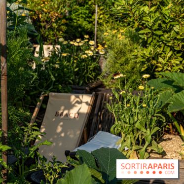 La terrasse en Rooftop du Brach, le bar perché dans un jardin potager -  A7C7689