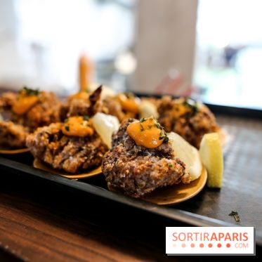 HOBA à Paris, nos photos