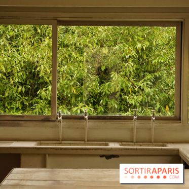 La Villa Savoye, une curiosité architecturale signée Le Corbusier