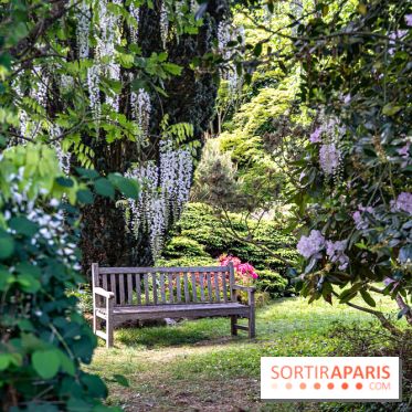 Arboretum de la Vallée-aux-Loups, une balade au milieu des arbres remarquables - A7C07813