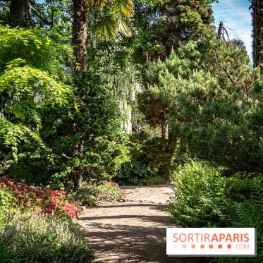 Arboretum de la Vallée-aux-Loups, une balade au milieu des arbres remarquables