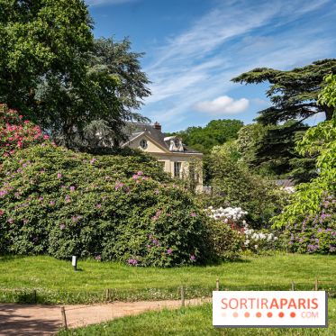 Arboretum de la Vallée-aux-Loups, une balade au milieu des arbres remarquables - A7C07799