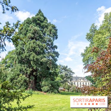 Arboretum de la Vallée-aux-Loups, une balade au milieu des arbres remarquables - A7C07784