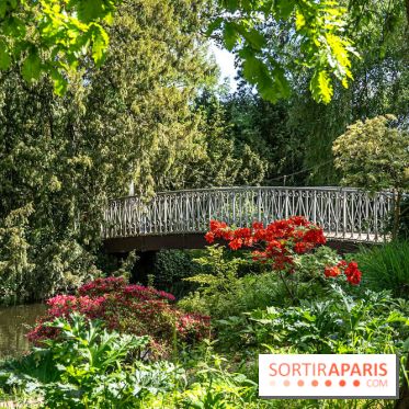 Arboretum de la Vallée-aux-Loups, une balade au milieu des arbres remarquables