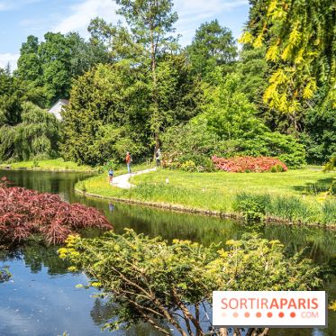 Arboretum de la Vallée-aux-Loups, une balade au milieu des arbres remarquables - A7C07783