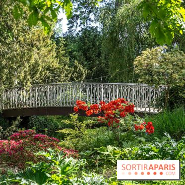 Arboretum de la Vallée-aux-Loups, une balade au milieu des arbres remarquables