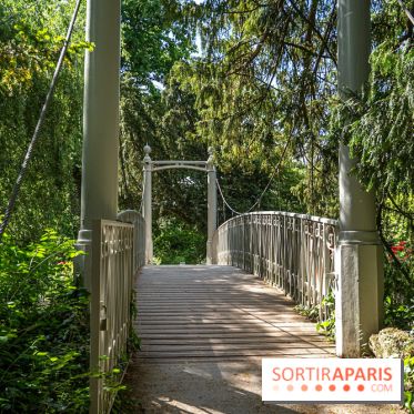 Arboretum de la Vallée-aux-Loups, une balade au milieu des arbres remarquables