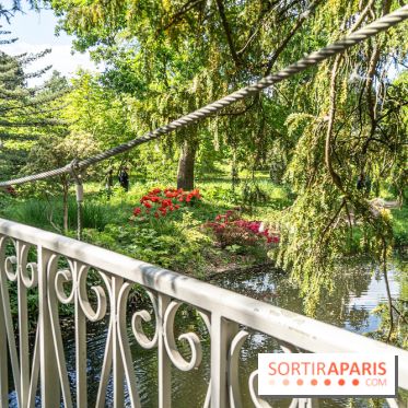 Arboretum de la Vallée-aux-Loups, une balade au milieu des arbres remarquables - A7C07767