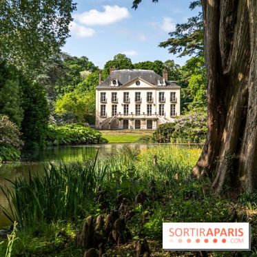 Arboretum de la Vallée-aux-Loups, une balade au milieu des arbres remarquables - A7C07764
