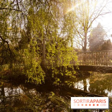 Arboretum de la Vallée-aux-Loups, une balade au milieu des arbres remarquables - A7C09390 Edit
