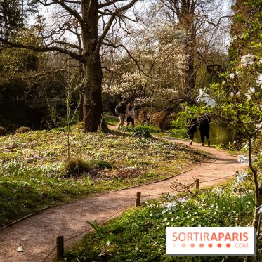 Arboretum de la Vallée-aux-Loups, une balade au milieu des arbres remarquables