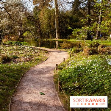 Arboretum de la Vallée-aux-Loups, une balade au milieu des arbres remarquables - A7C09393