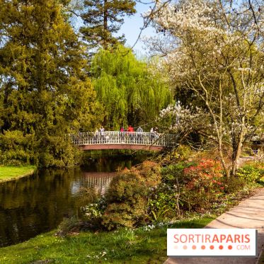 Arboretum de la Vallée-aux-Loups, une balade au milieu des arbres remarquables - A7C09395