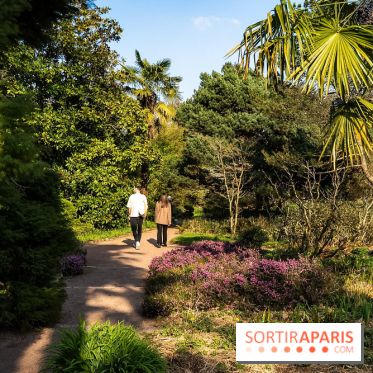Arboretum de la Vallée-aux-Loups, une balade au milieu des arbres remarquables - A7C09397