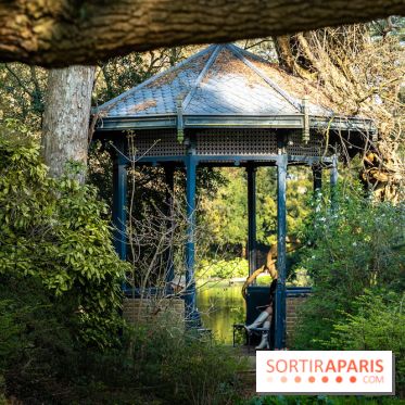 Arboretum de la Vallée-aux-Loups, une balade au milieu des arbres remarquables