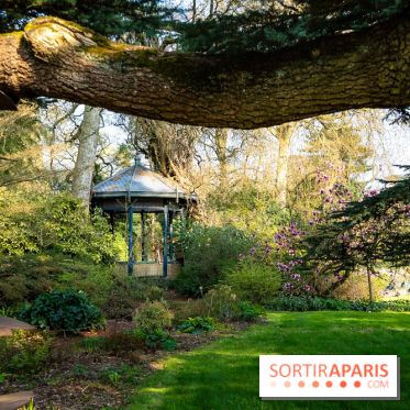 Arboretum de la Vallée-aux-Loups, une balade au milieu des arbres remarquables