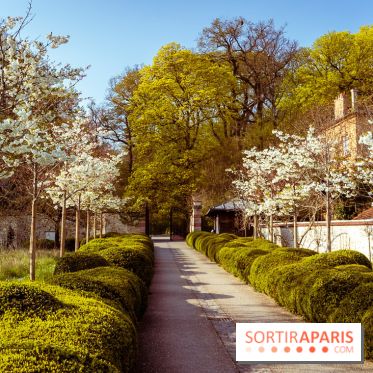 Arboretum de la Vallée-aux-Loups, une balade au milieu des arbres remarquables - A7C09411