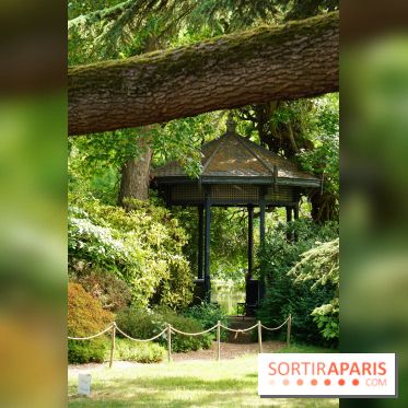Arboretum de la Vallée-aux-Loups, une balade au milieu des arbres remarquables