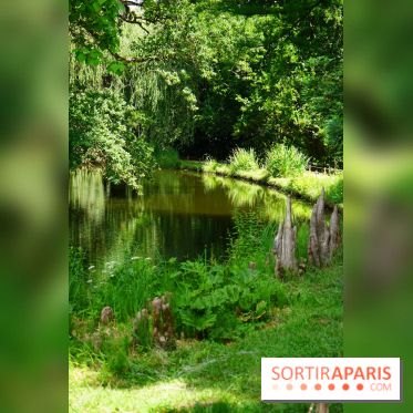 Arboretum de la Vallée-aux-Loups, une balade au milieu des arbres remarquables