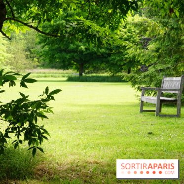 Arboretum de la Vallée-aux-Loups, une balade au milieu des arbres remarquables