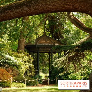 Arboretum de la Vallée-aux-Loups, une balade au milieu des arbres remarquables