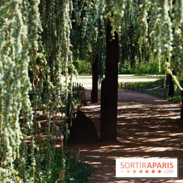 Arboretum de la Vallée-aux-Loups, une balade au milieu des arbres remarquables