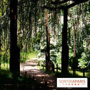 Arboretum de la Vallée-aux-Loups, une balade au milieu des arbres remarquables