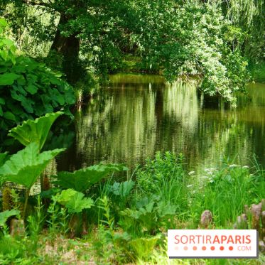Arboretum de la Vallée-aux-Loups, une balade au milieu des arbres remarquables
