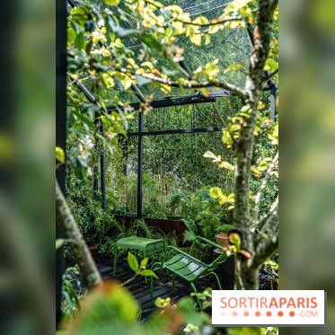 Jardins jardin aux Tuileries 2022