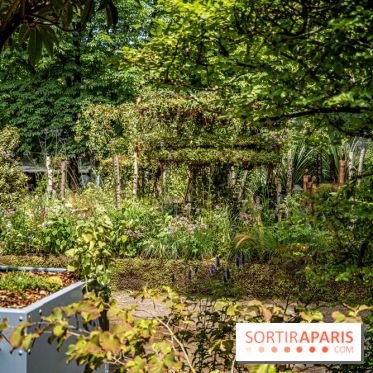 Jardins jardin aux Tuileries 2022
