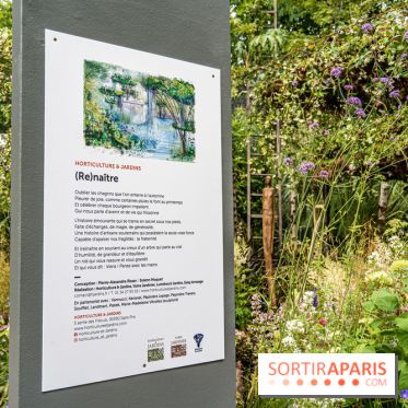 Jardins jardin aux Tuileries 2022