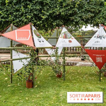 Jardins jardin aux Tuileries 2022