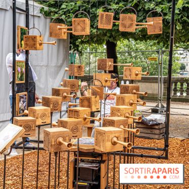 Jardins jardin aux Tuileries 2022