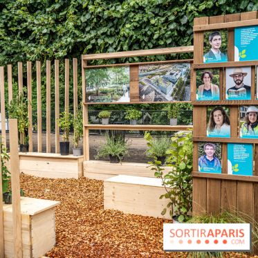 Jardins jardin aux Tuileries 2022