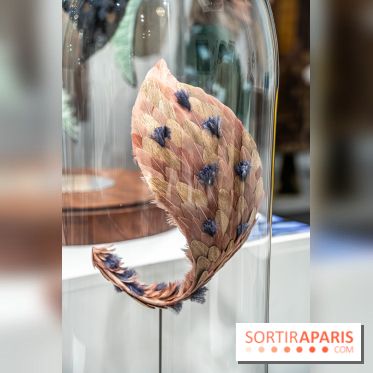 Le salon Révélations 2022, les photos 