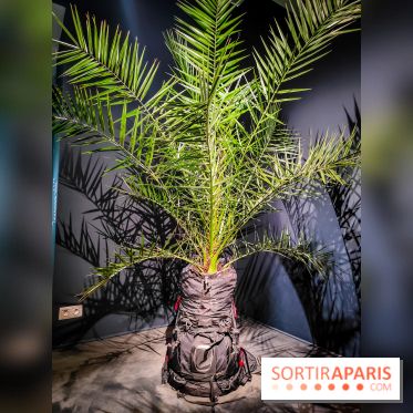 Faut-il voyager pour être heureux ?, l'exposition dépaysante de l'Espace Fondation EDF - nos photos