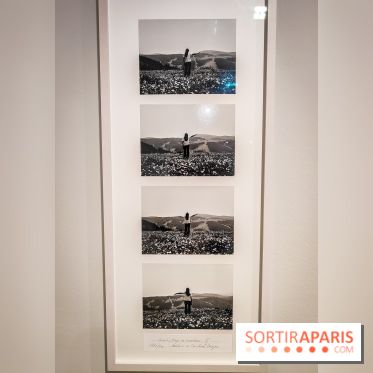 Faut-il voyager pour être heureux ?, l'exposition dépaysante de l'Espace Fondation EDF - nos photos