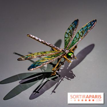 Exposition Végétal  by Chaumet aux Beaux Arts de Paris