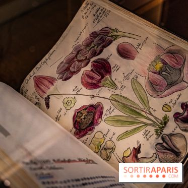 Exposition Végétal  by Chaumet aux Beaux Arts de Paris