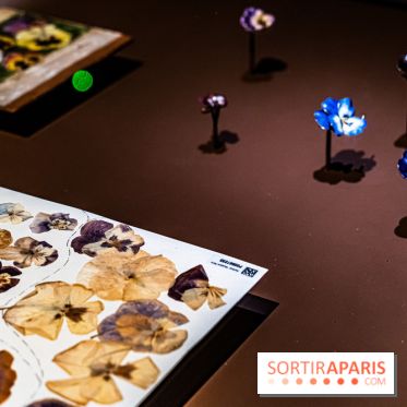 Exposition Végétal  by Chaumet aux Beaux Arts de Paris