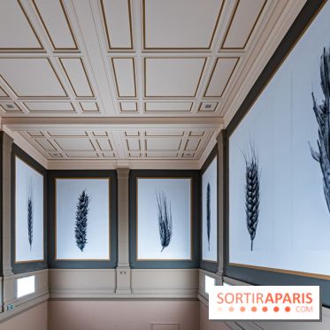 Exposition Végétal  by Chaumet aux Beaux Arts de Paris