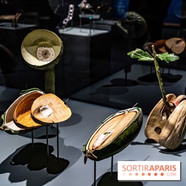 Exposition Végétal  by Chaumet aux Beaux Arts de Paris