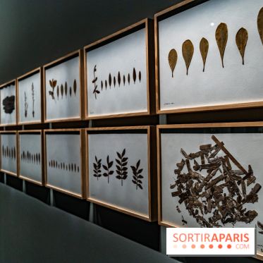 Exposition Végétal  by Chaumet aux Beaux Arts de Paris