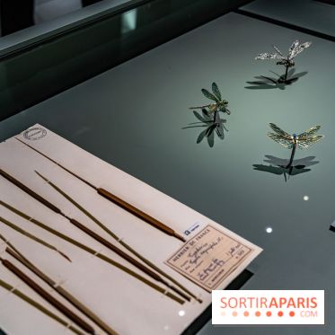 Exposition Végétal  by Chaumet aux Beaux Arts de Paris