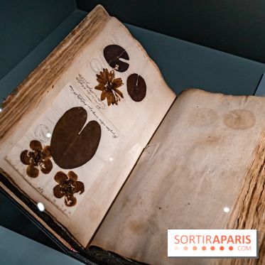 Exposition Végétal  by Chaumet aux Beaux Arts de Paris