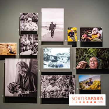 Exposition Végétal  by Chaumet aux Beaux Arts de Paris